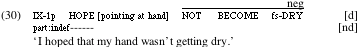 example 30